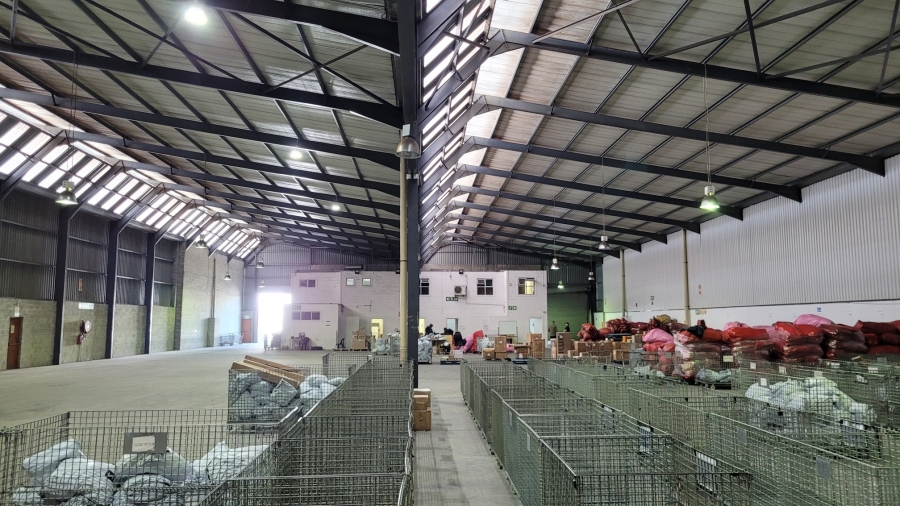 To Let commercial Property for Rent in Montague Gardens Western Cape